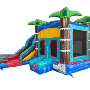 Inflatable Castle